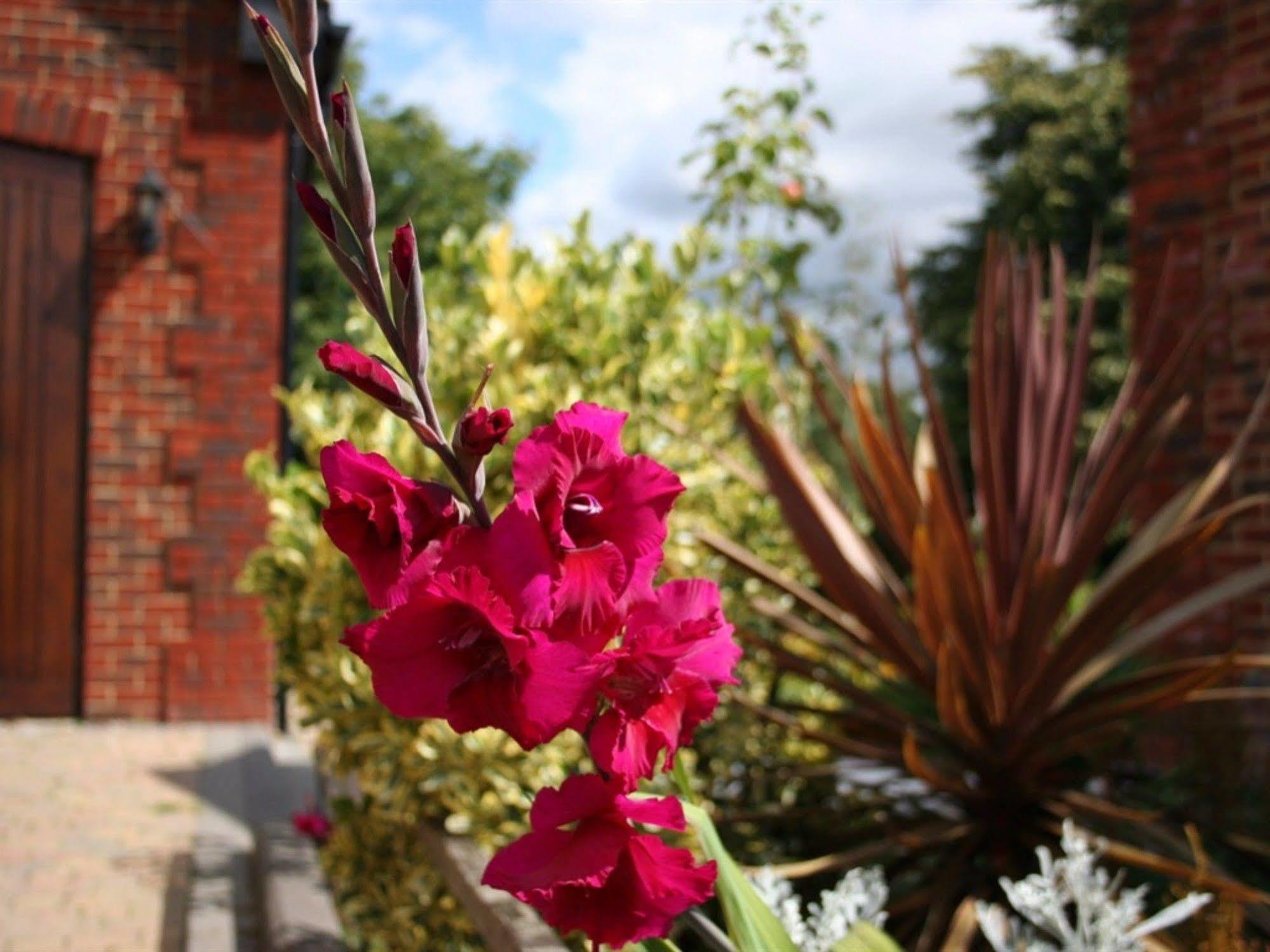 Millers House Boutique B&B Emsworth Zewnętrze zdjęcie